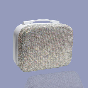 Silver Mini Carry On Bag